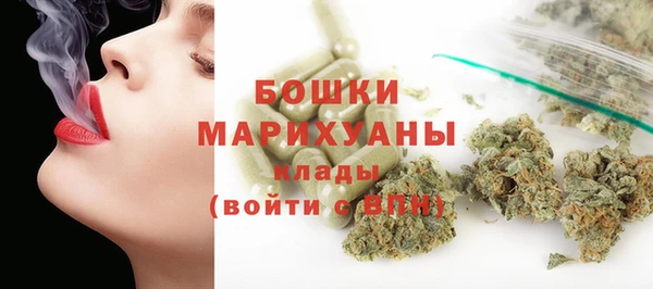 Альфа ПВП Корсаков