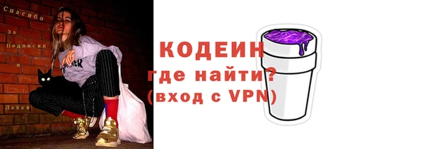 МДПВ Костерёво