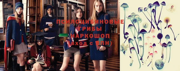 МДПВ Костерёво